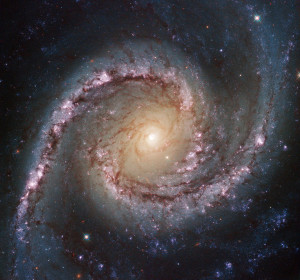 This new Hubble image shows NGC 1566, a beautiful galaxy located approximately 40 million light-years away