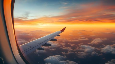 Airplane wing
